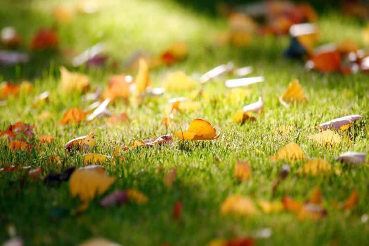 香港死亡證真實(shí)性公證用于在北京辦理工商信息變更