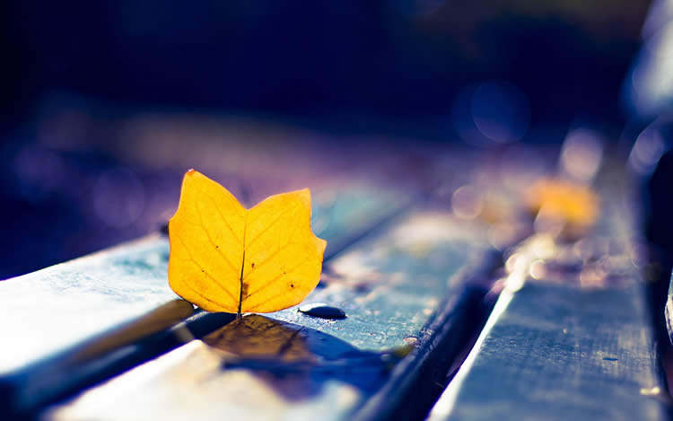 多位香港人士要如何辦理放棄繼承死者享有在內(nèi)地的遺產(chǎn)呢？