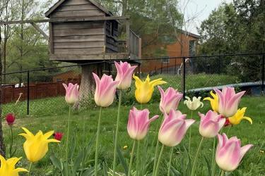 要繼承香港人在內地的遺產(chǎn)怎么辦理親屬關系及遺囑狀況聲明書轉遞公證呢？ 
