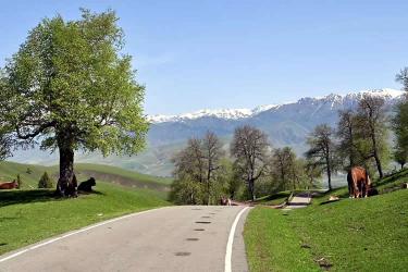 加拿大籍華人要在國內(nèi)貸款買房怎么辦理加拿大護(hù)照翻譯公證認(rèn)證？