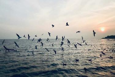 要繼承香港父母在內(nèi)地遺產(chǎn)所需要的公證親屬關(guān)系及遺囑狀況聲明書怎么辦理？