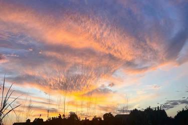 發(fā)生糾紛要在內(nèi)地法院打官司怎么公證香港死亡證是真實(shí)的呢？