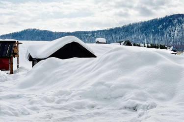 香港子女要放棄繼承內(nèi)地父母在內(nèi)地的遺產(chǎn)怎么辦理轉(zhuǎn)遞聲明公證書呢？
