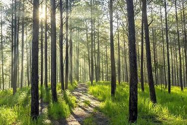 內(nèi)地人的香港離婚絕對判令要如何做公證用于跟銀行申請貸款呢？