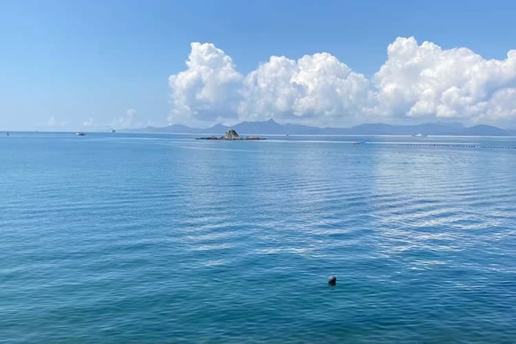 香港公司要在山東省青島市設(shè)立外商投資企業(yè)怎么辦理簡化版香港公證文書呢？