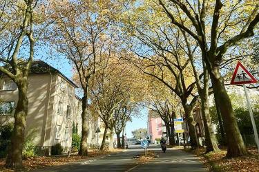 香港結(jié)婚證公證用于在內(nèi)地辦理夫妻之間股權(quán)轉(zhuǎn)讓及房產(chǎn)過(guò)戶之用