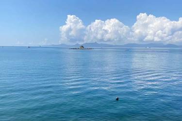 香港公司要在山東省青島市設(shè)立外商投資企業(yè)怎么辦理簡(jiǎn)化版香港公證文書(shū)呢？