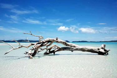 香港親屬關系及遺囑狀況聲明書公證用于在廣州辦理房產(chǎn)轉名手續(xù)