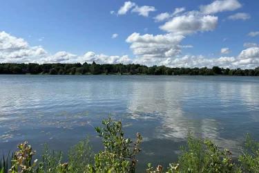 香港護(hù)照怎么辦理越南領(lǐng)館雙認(rèn)證？可以代辦嗎？