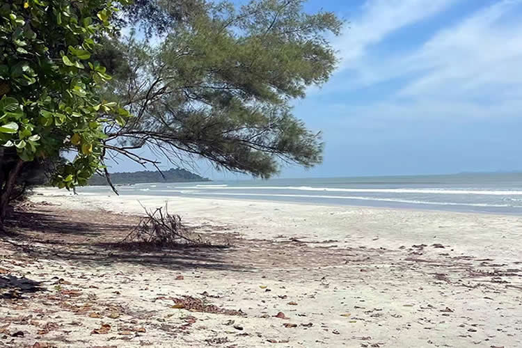 香港夫婦要出售內(nèi)地的房產(chǎn)怎么辦理婚姻及家庭狀況聲明書(shū)公證呢？