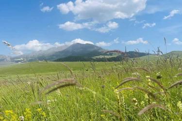 美國(guó)公民的香港死亡證明怎么辦理國(guó)際海牙認(rèn)證手續(xù)呢？