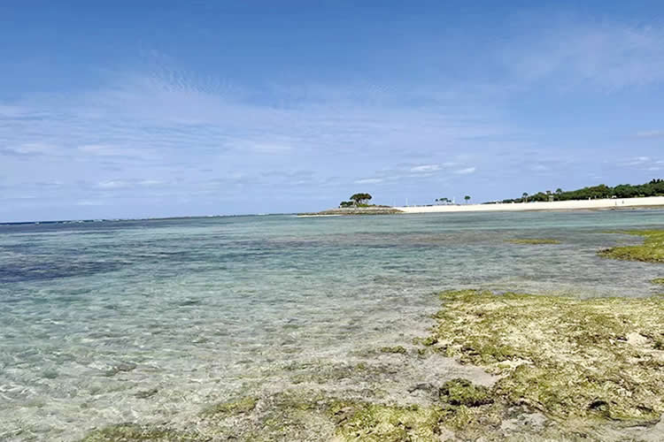 父母怎么辦理小孩的香港出生紙公證雙認(rèn)證用于申請(qǐng)?zhí)﹪?guó)陪讀簽證呢？