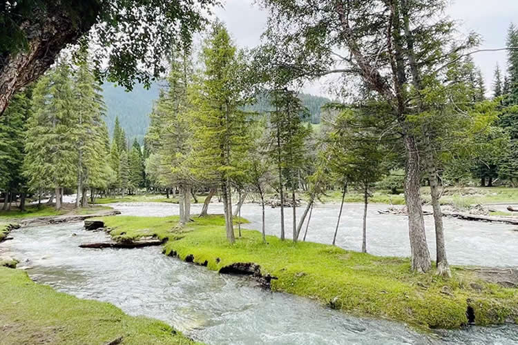 內地居民取得香港永居身份后，如何合法有效處理內地的資產呢？