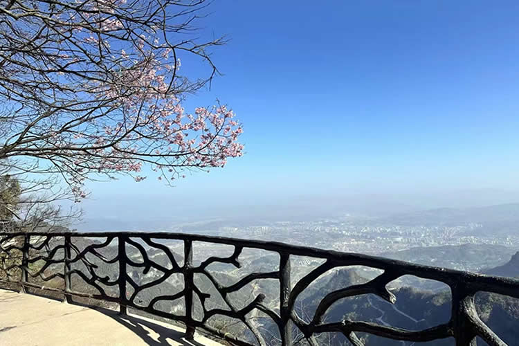 已有香港高院的遺囑認(rèn)證書，怎么辦理香港親屬關(guān)系及遺囑狀況聲明書公證呢？