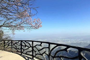 已有香港高院的遺囑認(rèn)證書，怎么辦理香港親屬關(guān)系及遺囑狀況聲明書公證呢？