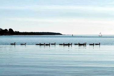 香港人的美國離婚證明文件怎么辦理美國海牙認證Apostille手續(xù)呢？