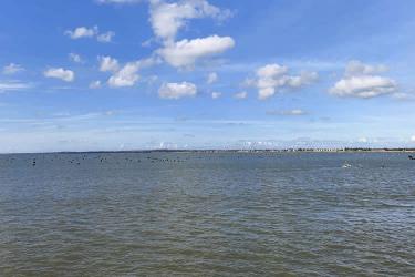 香港居民怎么無需回國遠程辦理移民美國所需的中國出生雙號公證書呢？