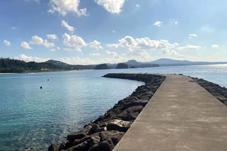 香港公司唯一董事決議證明轉(zhuǎn)遞公證書用于在江蘇省鎮(zhèn)江市辦理收購(gòu)股權(quán)